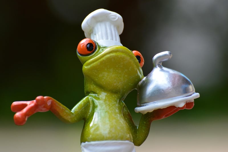 Gourmet Innovations